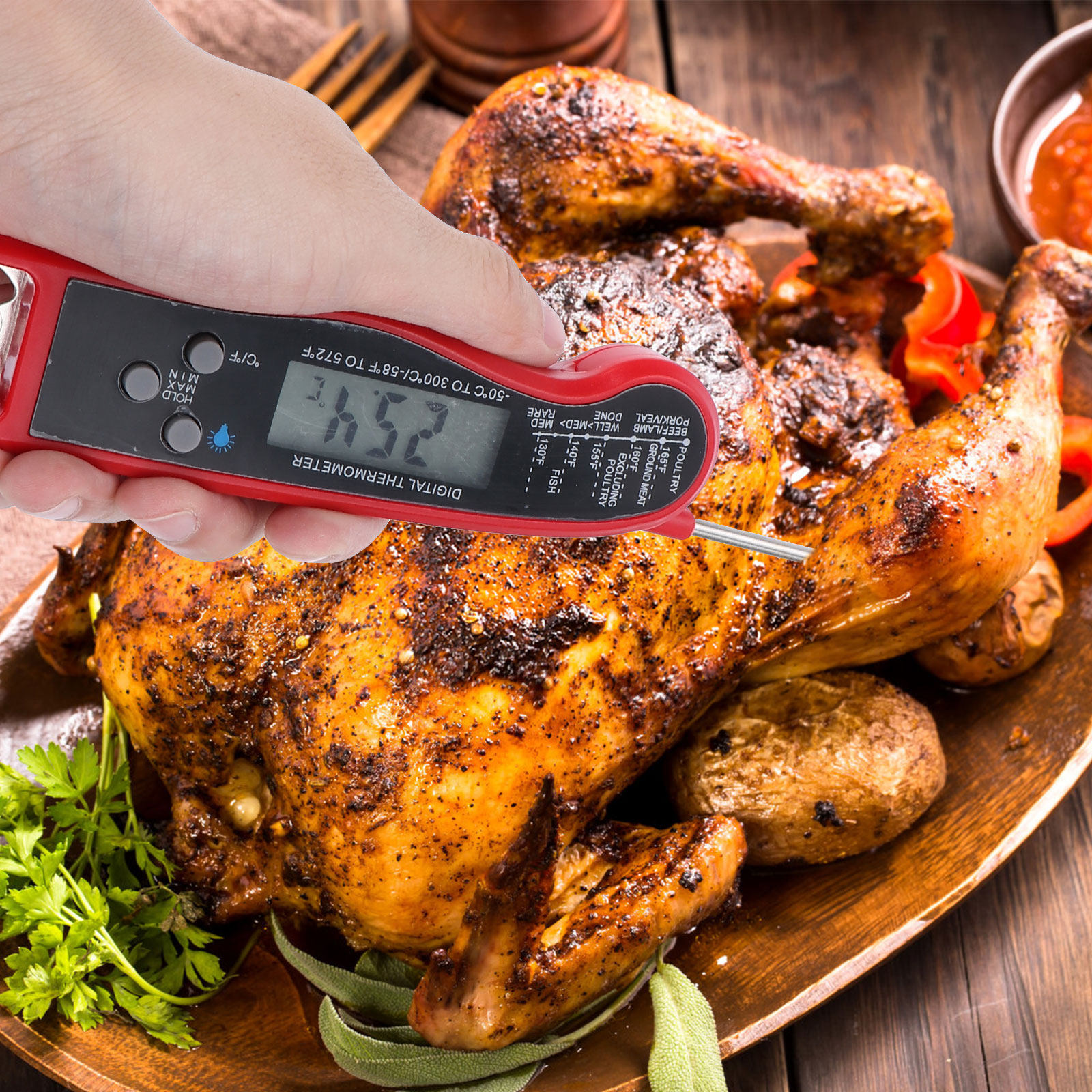 1Pcs Digital Meat Thermometer  - Digital Thermometer Probe ulasan dan harga