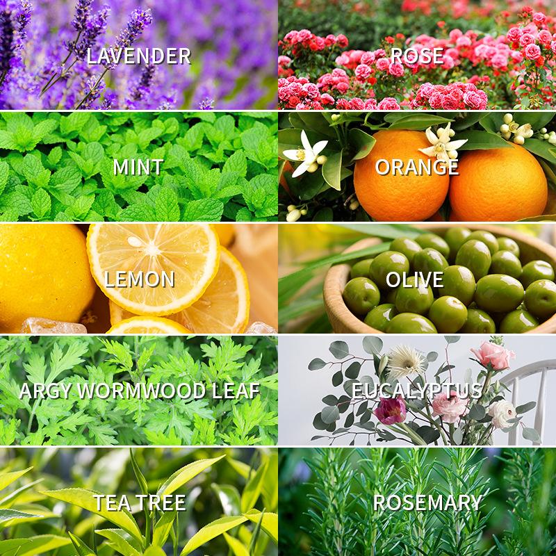 Aromatherapy Essential Oil 10m - Fragrance Oil 10Ml ulasan dan harga