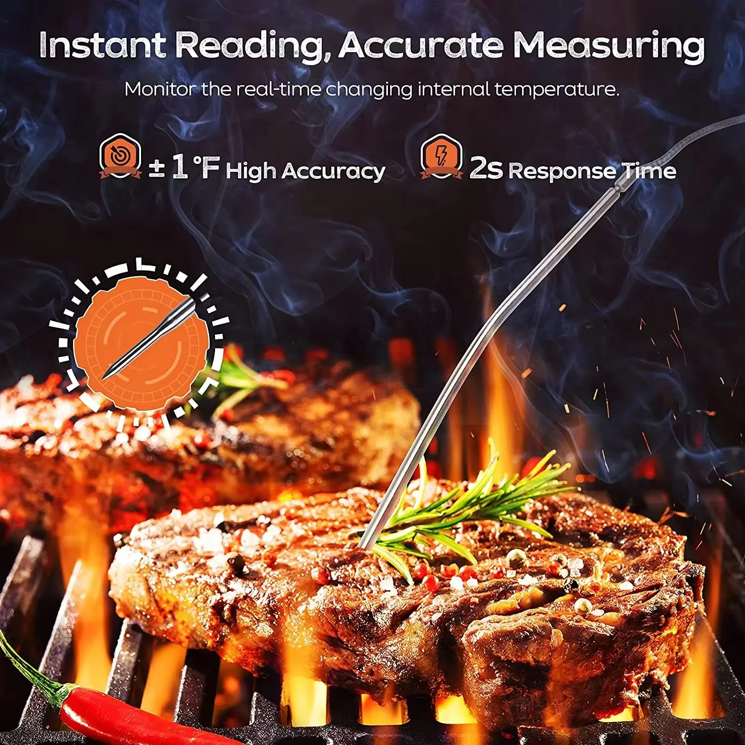 HOMEFISH Digital Meat Kitchen  - Digital Thermometer Probe ulasan dan harga