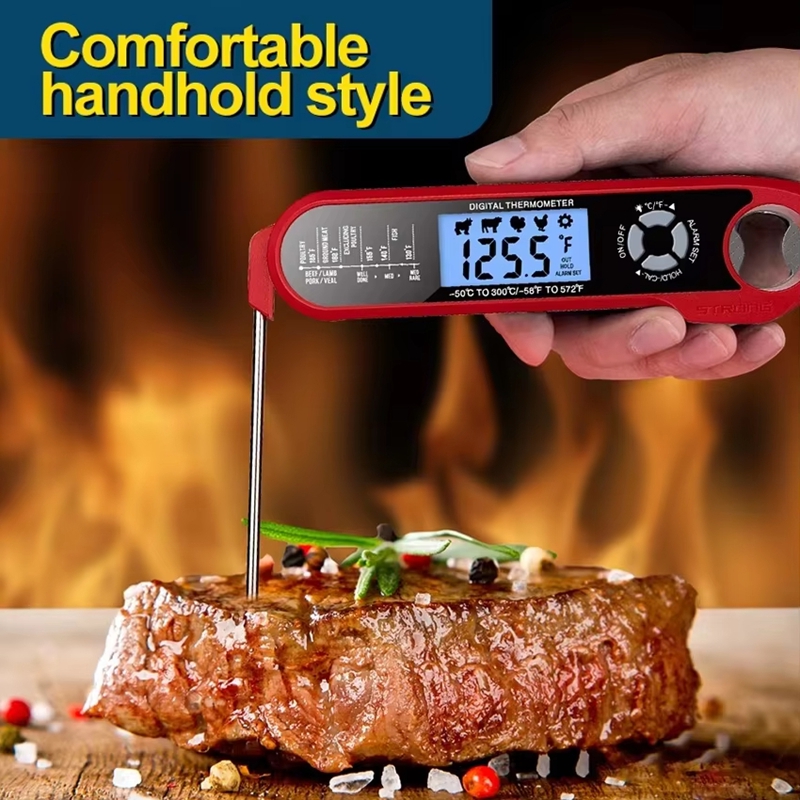 Dual-Probe Meat Thermometer Di - Digital Thermometer Probe ulasan dan harga