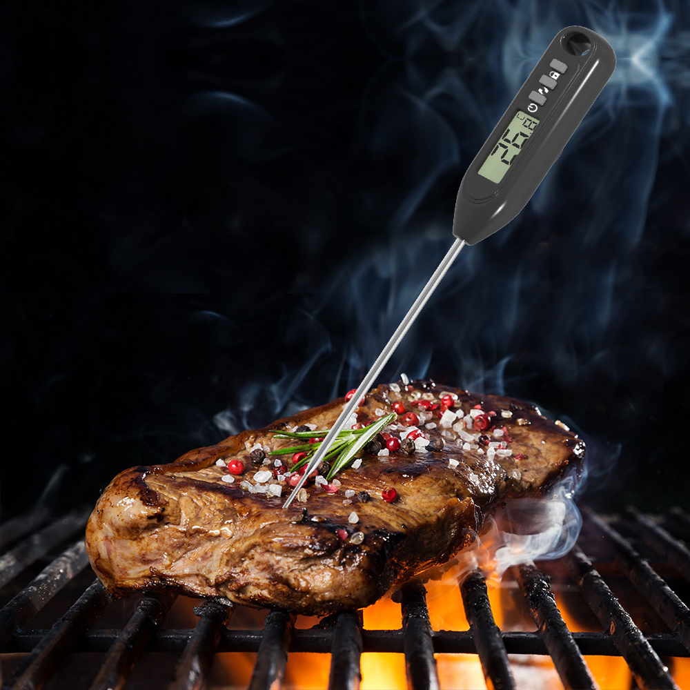 Digital Meat Food Thermometer  - Digital Thermometer Probe ulasan dan harga